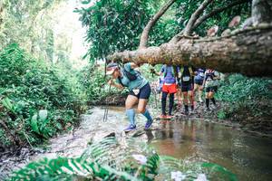 BIB: 
                            <button type="button" onclick="openModal(25475451)" class="btn btn-primary btn-sm float-right btn-popup" data-toggle="modal" data-target=".modal-high-quality">
                        <i class="fas fa-shopping-cart"></i> Add to Cart
                    </button>
                                            <button type="button" onclick="isThisMe(25475451, true)" class="btn btn-success btn-sm float-right btn-popup btn-isme hidden" data-toggle="tooltip" data-placement="bottom" title="นี่คือรูปของคุณใช่ไหม คลิกที่นี่เพื่อเอาเข้าอัลบั้ม">
                        <i class="fas fa-plus"></i> Add to album
                    </button>
                    <button type="button" onclick="isThisMe(25475451, false)" class="btn btn-warning btn-sm float-right btn-popup btn-isnotme hidden">
                        <i class="fas fa-ban"></i> Remove from album
                    </button>